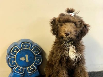 1st Class Plumbing, Heating & A/C