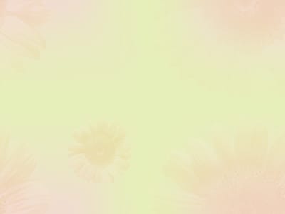 4G Plumbing, Heating and Cooling, LLC