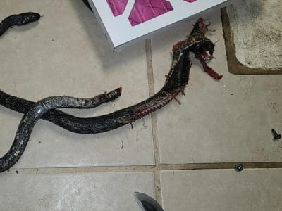 A-1 Plumbing Heating Cooling Electrical