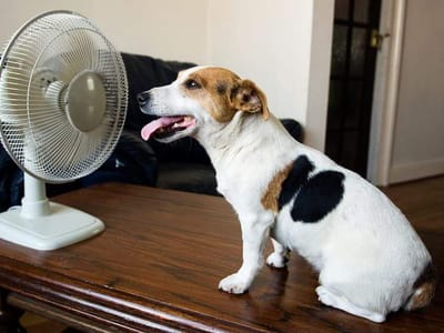 A/C Solutions Heating & Air Conditioning
