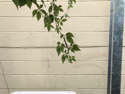 A.M.S. Cooling & Heating llc