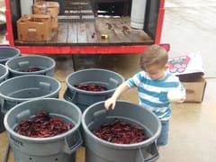 A T I Anderson Technicians Inc