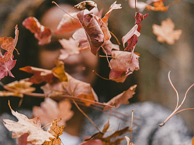 AAA Heating and Cooling Inc