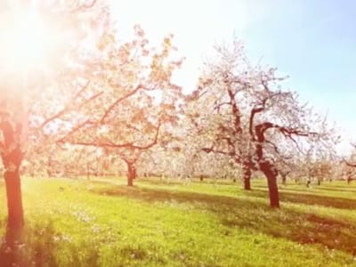 ABC Air Conditioning, Inc.