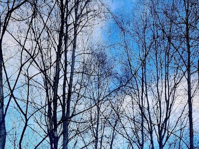 ABC Plumbing & Heating Inc