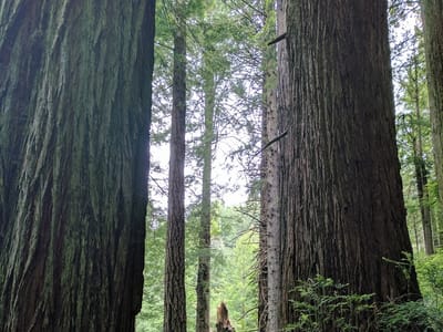 Above All Boiler Services