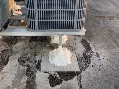 AC Fabelo Service Corp