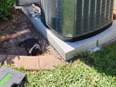 AC Repair - HVAC Pro BlueStar - ORLANDO LONGWOOD