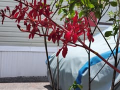 AC Repair Orlando FL