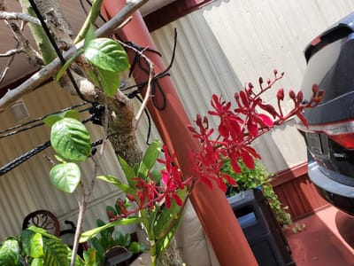 AC Repair Orlando FL