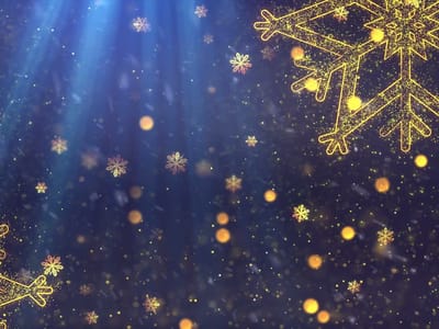 Academy Plumbing, Heating, Air Conditioning and Electric, Inc.