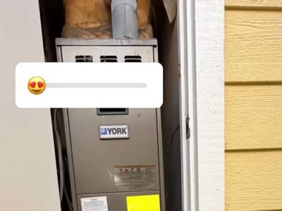 Accurate Comfort Air Conditioning And Heating