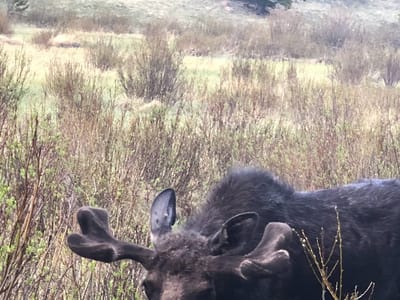 Ace Hi Plumbing & Heating