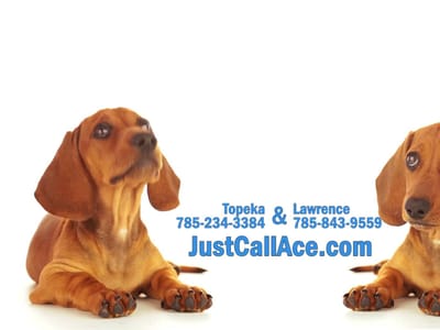 Ace Plumbing, Heating & Air Conditioning, Appliance (Topeka)