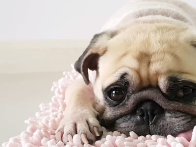 Ace Plumbing, Heating & Air Conditioning, Appliance (Topeka)