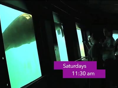 ACS Home Services AC Repair Tampa