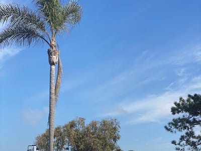 Action Air Conditioning & Heating