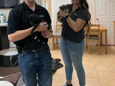 Action Air Conditioning, Inc - AC Repair Tampa