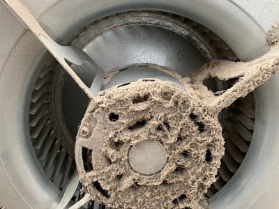 Action Air Duct & HVAC Services