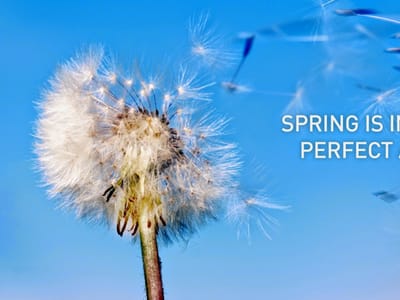 Advanced Filter & Mechanical Inc.