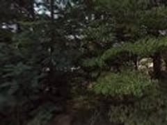 Advanced Refrigeration-HVAC