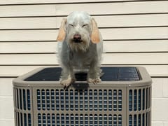 Advanced Temperature Systems