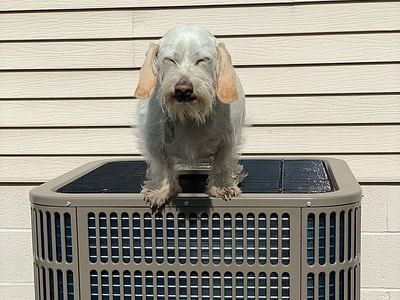 Advanced Temperature Systems