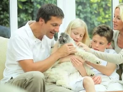 Affordable Air and Heating