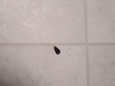 Affordable Plumbing, Heating & Air