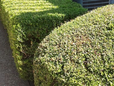 Air Conditioning & Heating By RCA