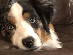 Air Conditioning Plus Inc