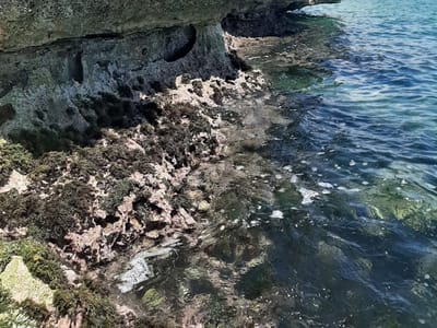 Air Conditioning Services