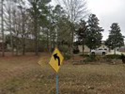 Air Control of Mobile