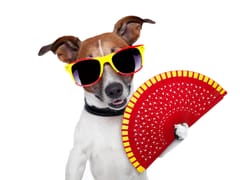 Air Environment, Inc. Heating & Cooling