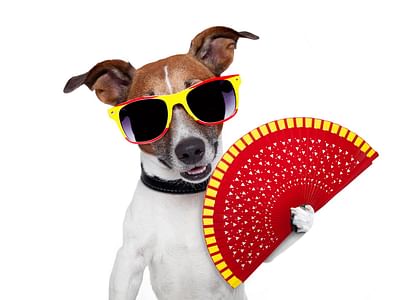 Air Environment, Inc. Heating & Cooling