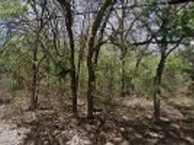 Air Flow Filter Services