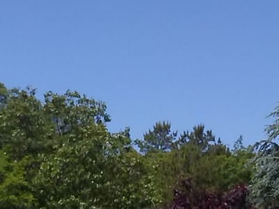 Air Magic Heating Air & Appliance Repair, LLC.