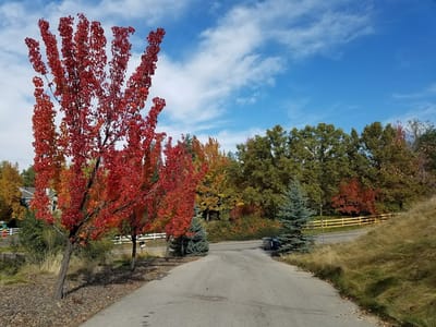 Air Pro Heating & Air Conditioning LLC