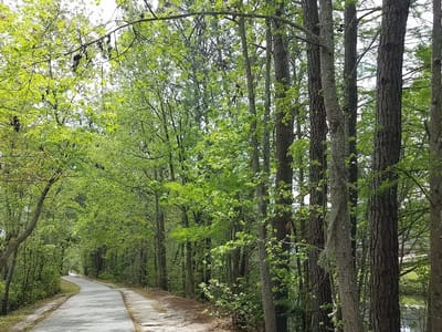 Air Repair and Associates