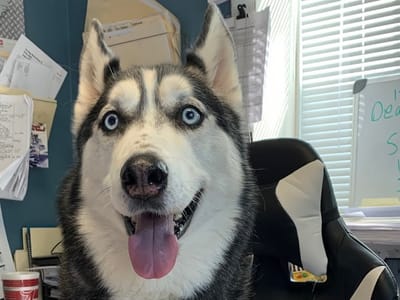 Air Services of the Carolinas