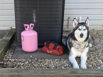 Air Services of the Carolinas