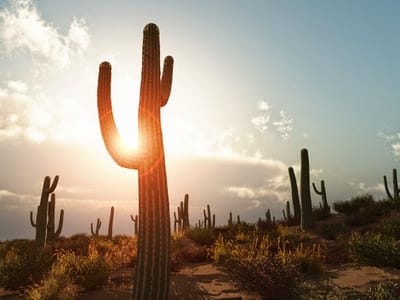 Air & Water Mechanical Services