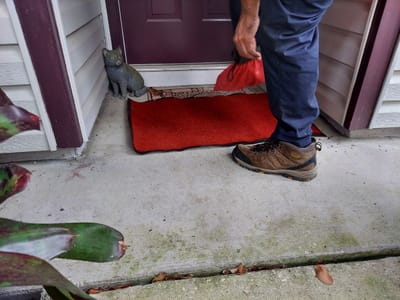 Air Waves Heating & Cooling LLC