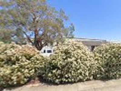 Aircraft Heating & Electrical