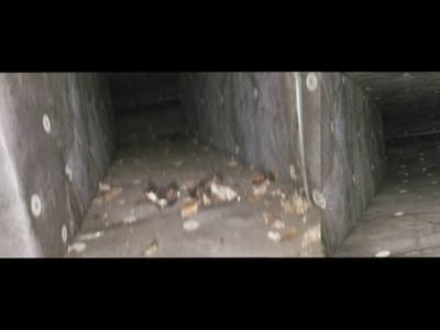 AirDuct Specialists of Centennial