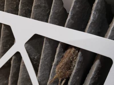 Aire Serv of Mid Michigan