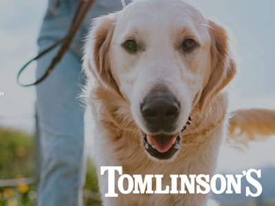 Airtech Energy Systems Inc