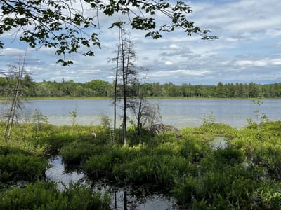 Al Terry Plumbing, Heating & AC