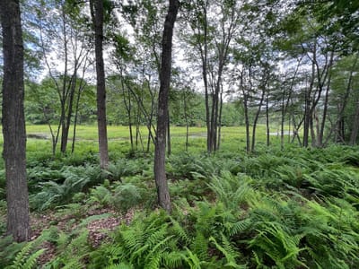 Al Terry Plumbing, Heating & AC