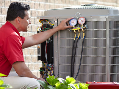 Albert Bachman & Sons